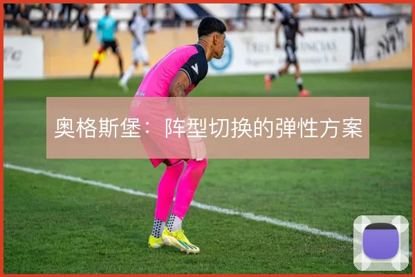 奥格斯堡:阵型切换的弹性方案