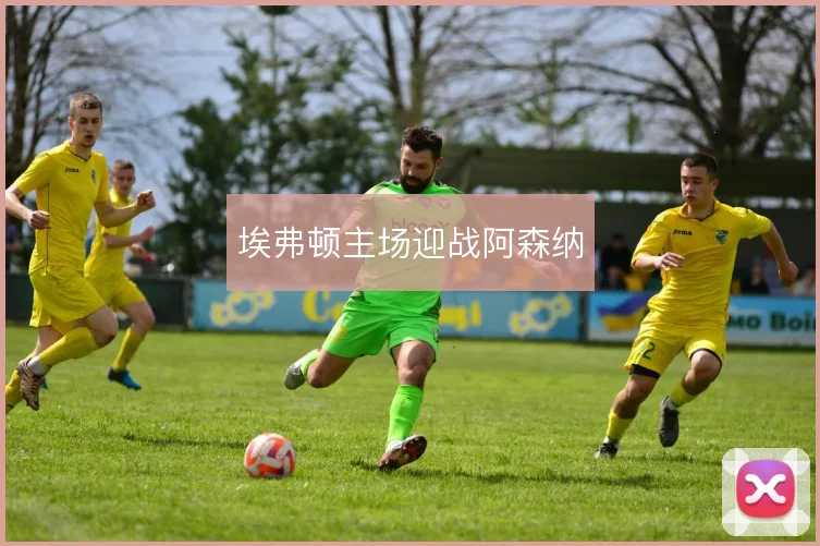 埃弗顿主场迎战阿森纳